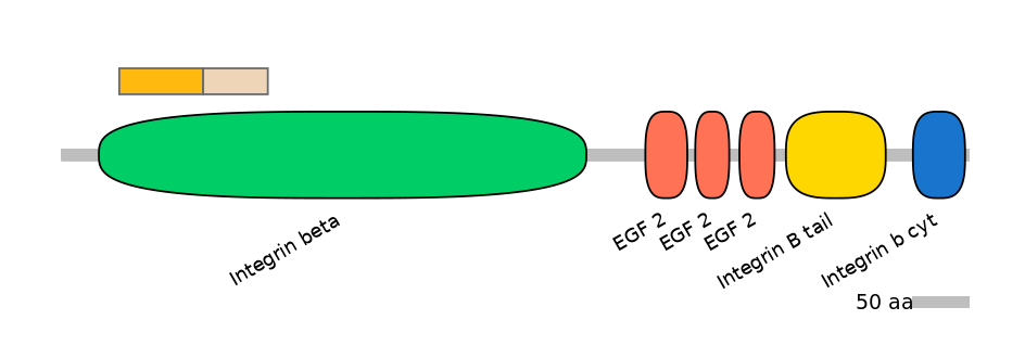 BtaINT0078136-EXC