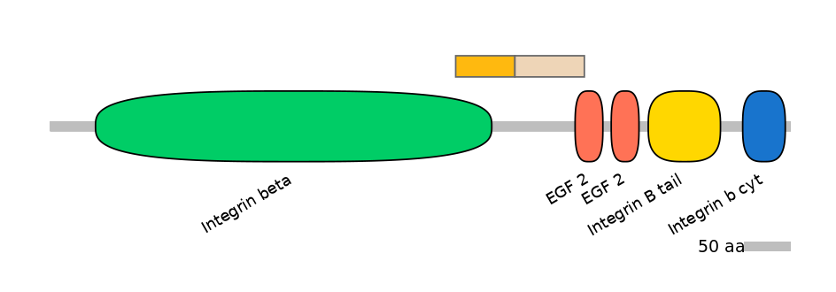 BtaINT0078251-EXC