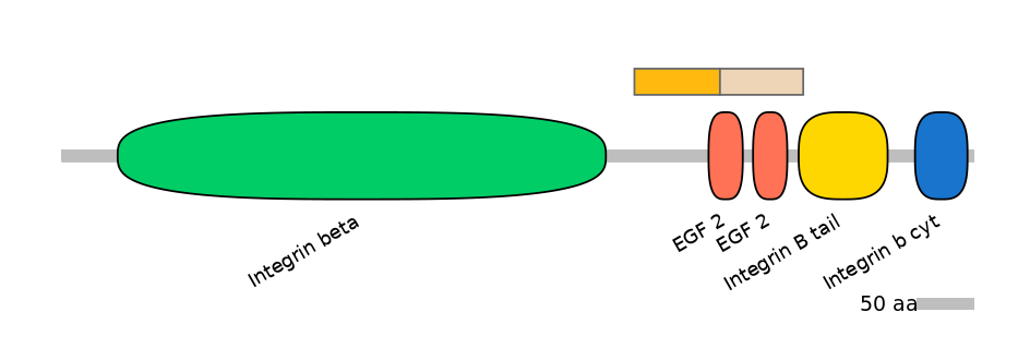 BtaINT0078252-EXC