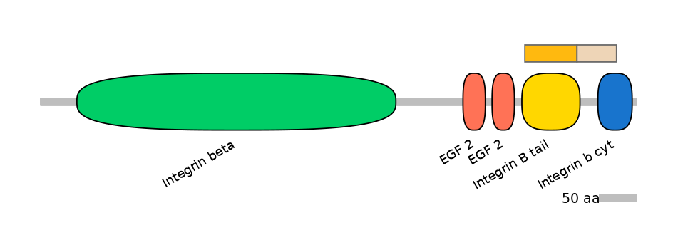 BtaINT0078254-EXC