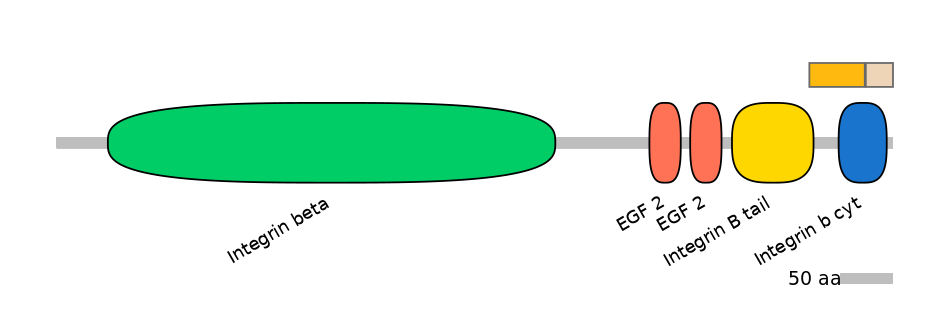 BtaINT0078255-EXC