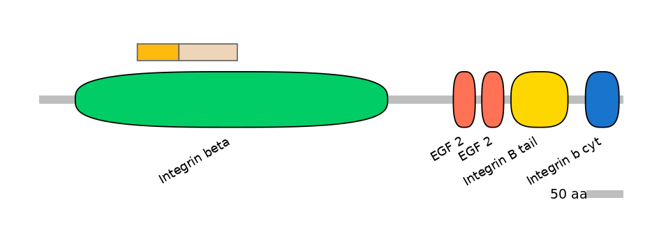 BtaINT0078258-EXC