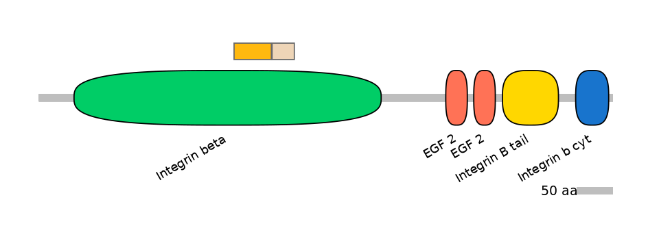 BtaINT0078260-EXC