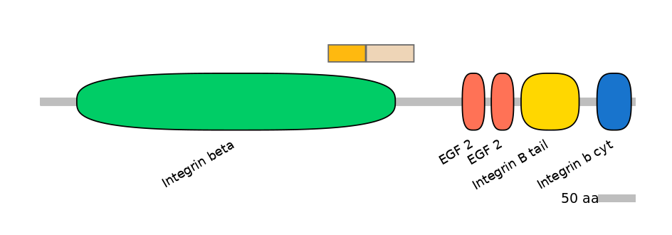 BtaINT0078263-EXC