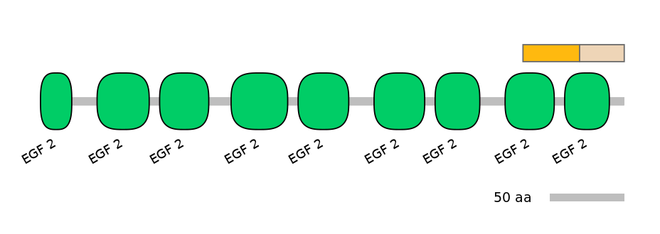 BtaINT0078283-EXC