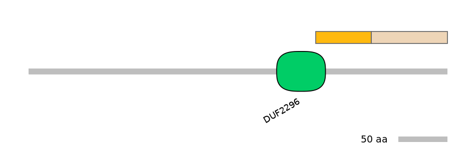 BtaINT0081320-EXC