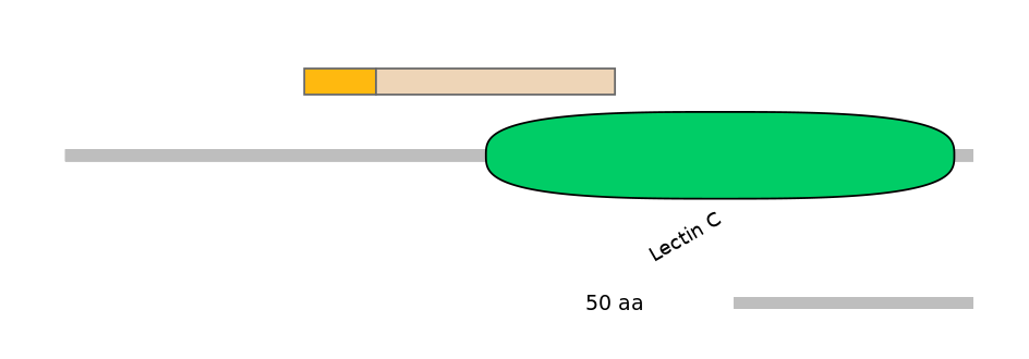 BtaINT0082851-EXC