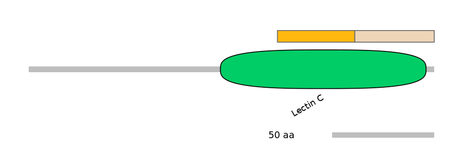 BtaINT0082862-EXC