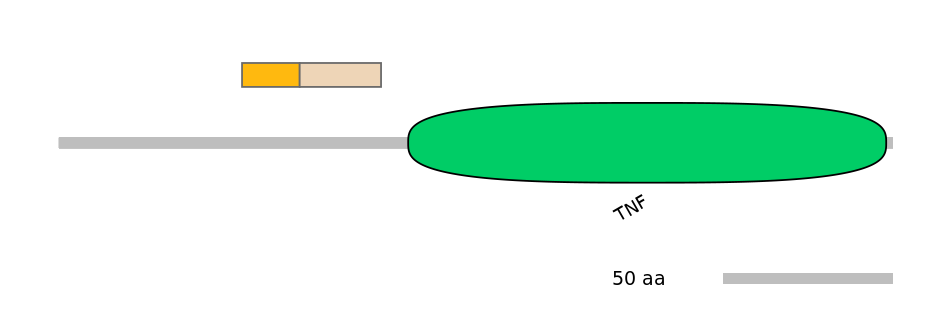 BtaINT0087838-EXC