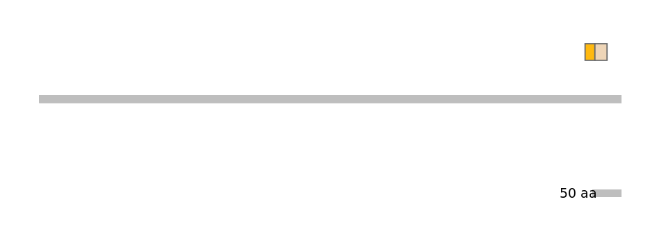 BtaINT0090385-EXC