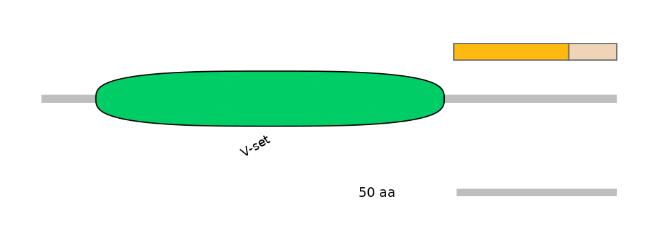 BtaINT0100226-EXC