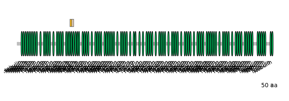 BtaINT0100646-EXC