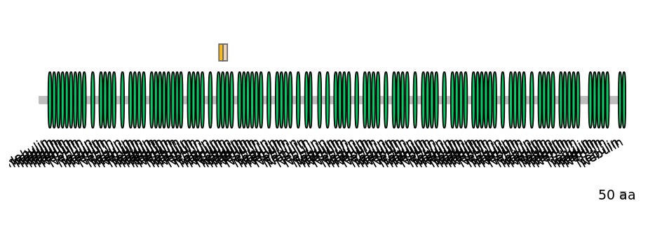 BtaINT0100654-EXC