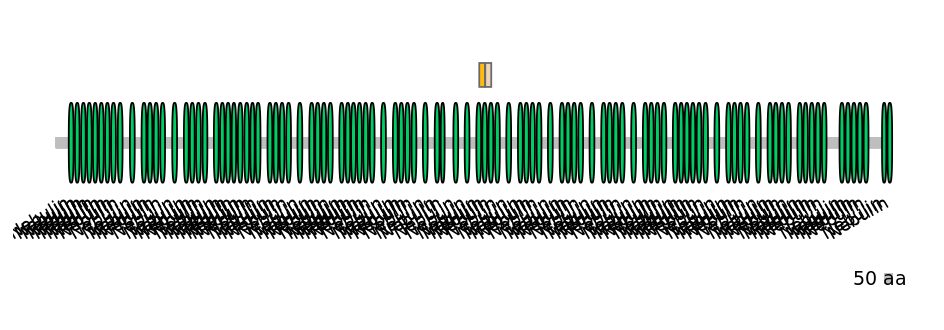 BtaINT0100672-EXC