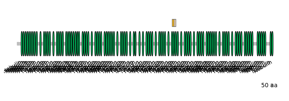 BtaINT0100680-EXC