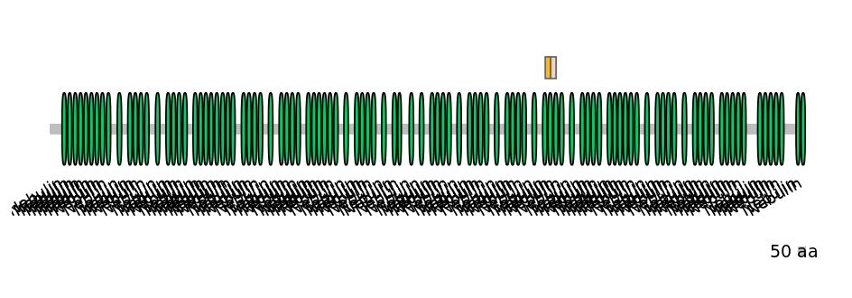 BtaINT0100683-EXC