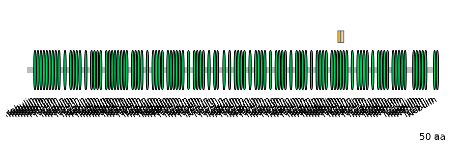 BtaINT0100691-EXC