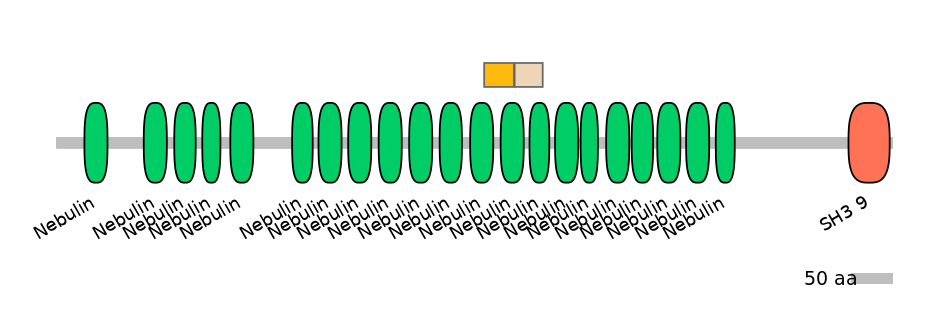 BtaINT0100721-EXC