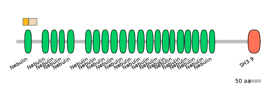 BtaINT0100725-EXC