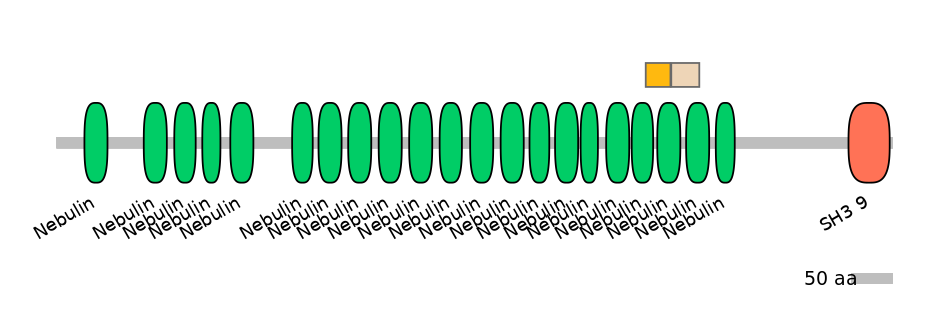 BtaINT0100728-EXC