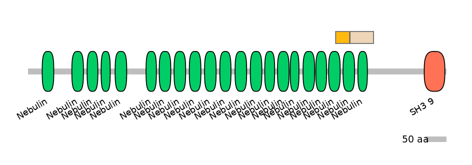 BtaINT0100729-EXC