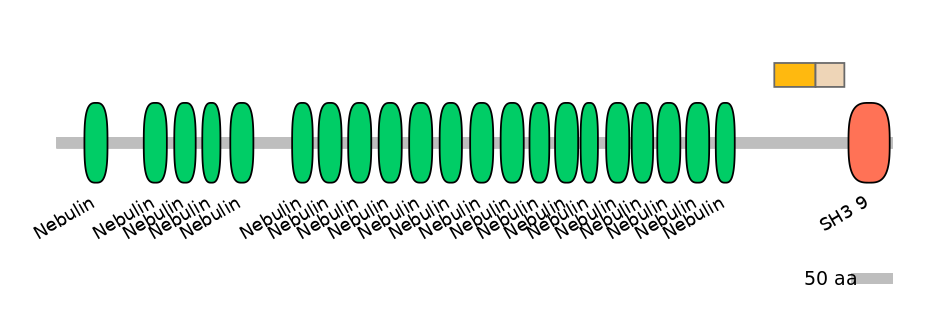 BtaINT0100732-EXC