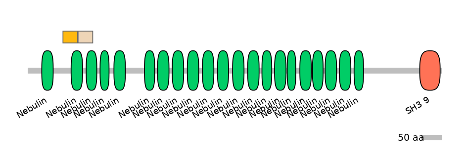 BtaINT0100735-EXC
