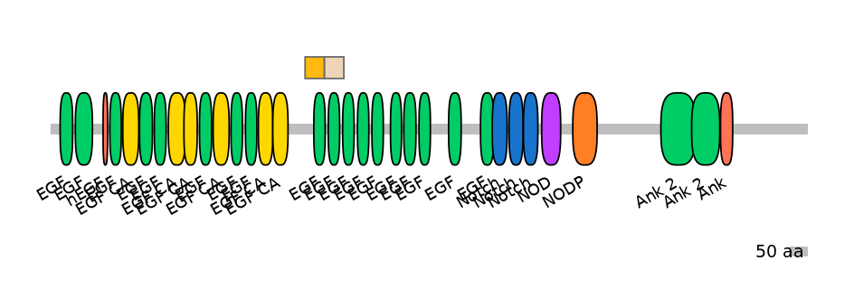 BtaINT0102936-EXC