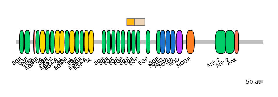 BtaINT0102941-EXC