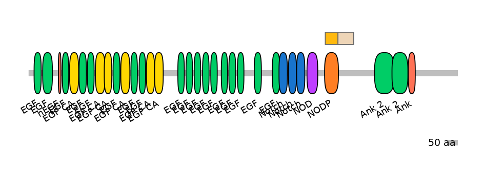 BtaINT0102947-EXC