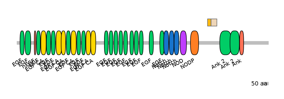 BtaINT0102949-EXC