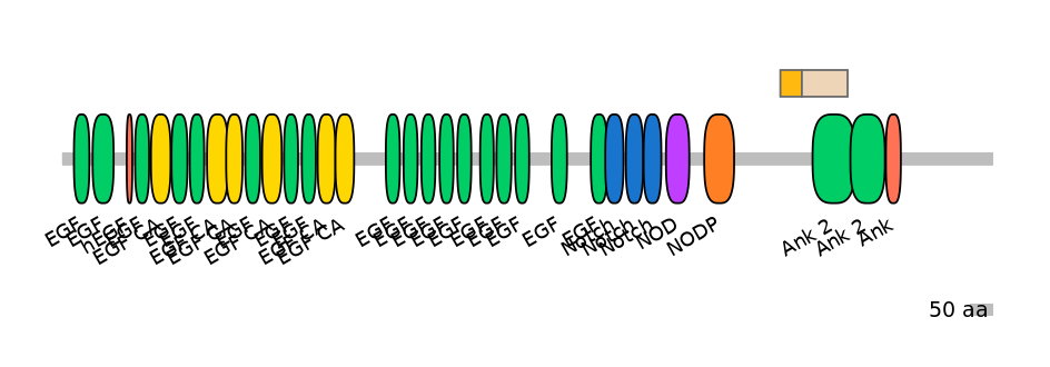 BtaINT0102950-EXC