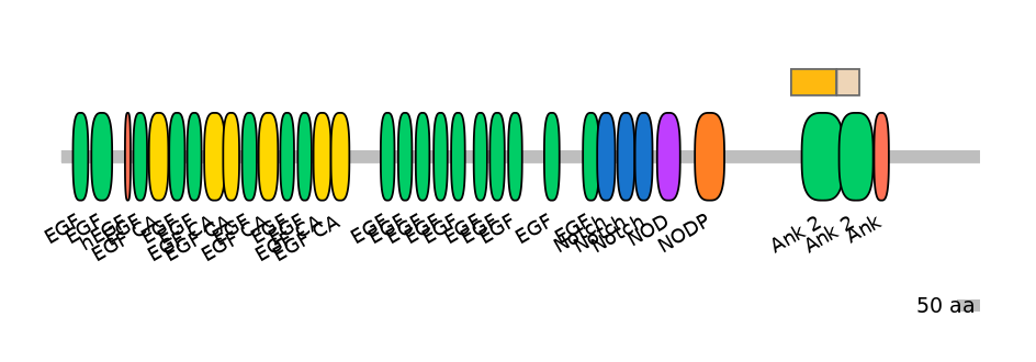 BtaINT0102951-EXC