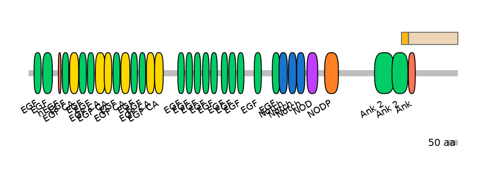BtaINT0102953-EXC