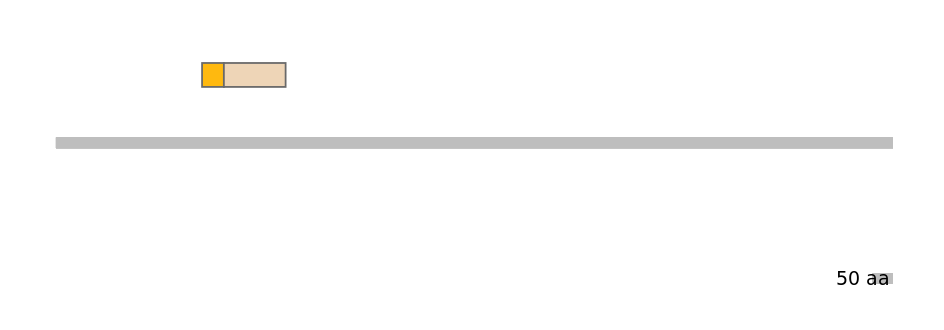 BtaINT0104834-EXC