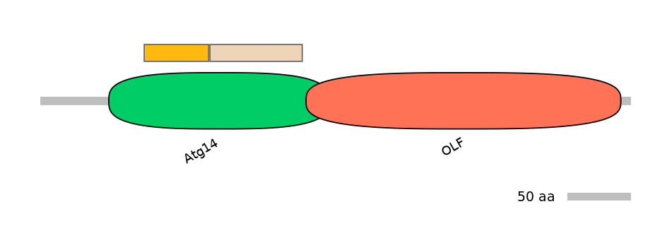 BtaINT0105565-EXC