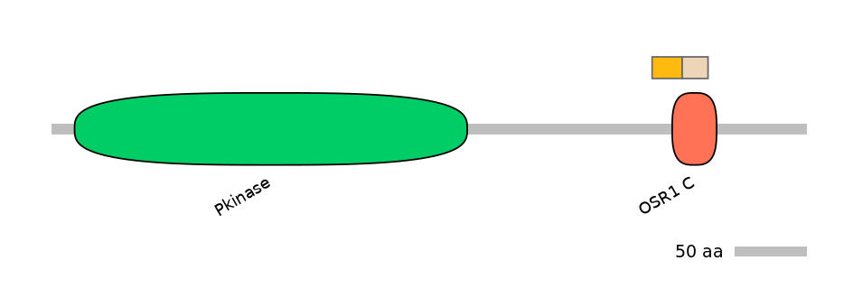 BtaINT0106589-EXC