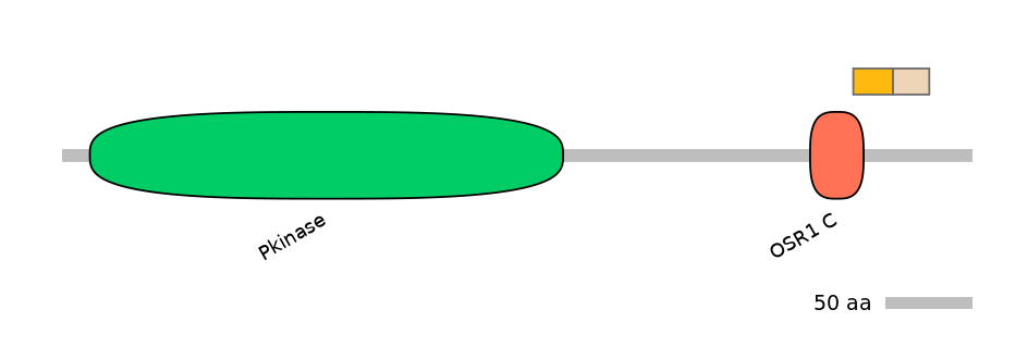BtaINT0106591-EXC