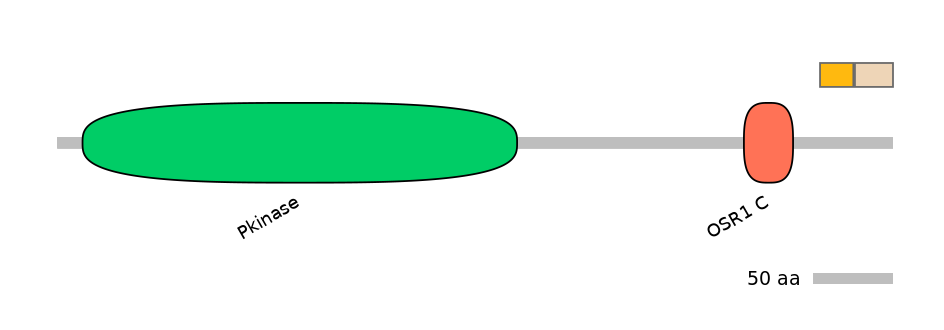 BtaINT0106592-EXC