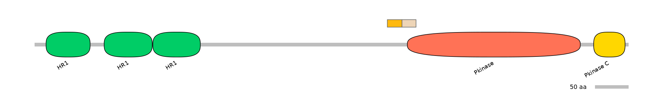 BtaINT0112605-EXC