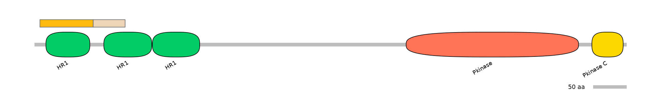 BtaINT0112612-EXC
