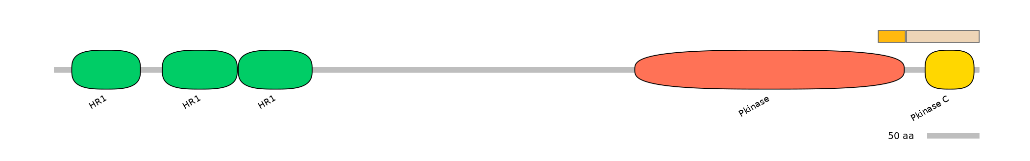 BtaINT0112614-EXC