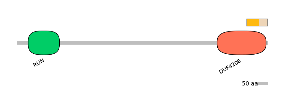 BtaINT0113829-EXC