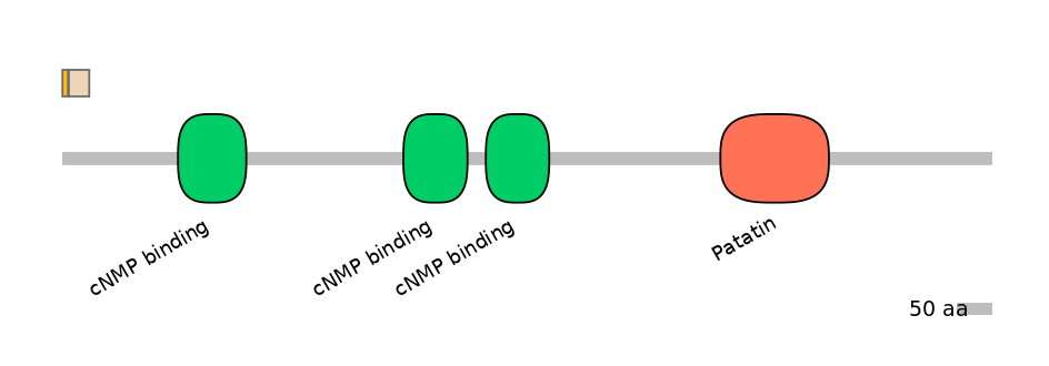BtaINT0114781-EXC