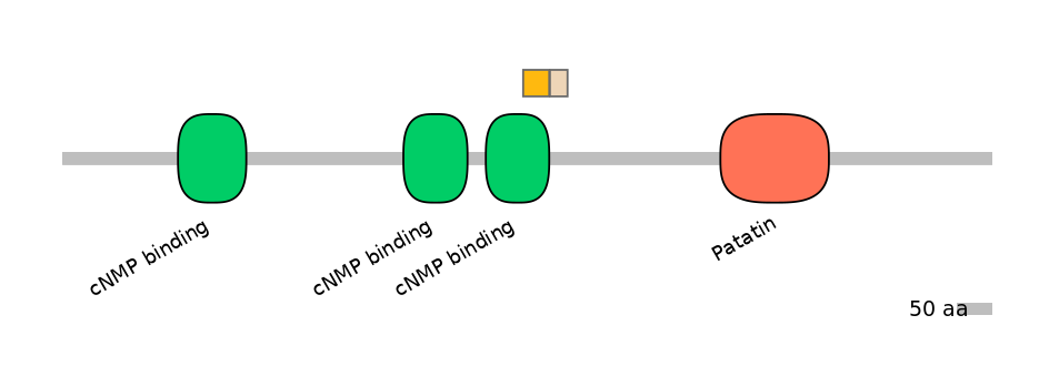 BtaINT0114790-EXC