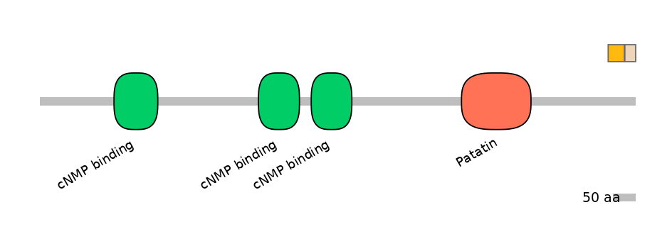 BtaINT0114805-EXC