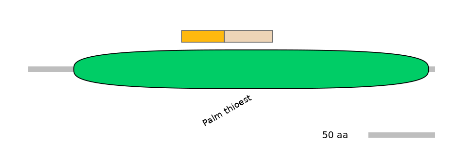 BtaINT0117048-EXC
