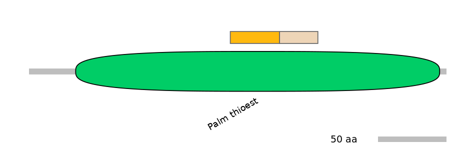 BtaINT0117049-EXC