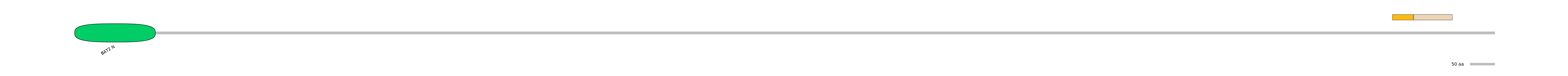 BtaINT0118653-EXC