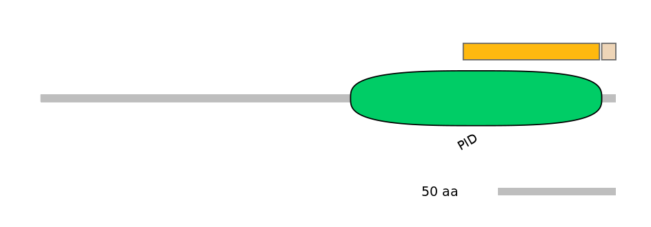 BtaINT0121579-EXC
